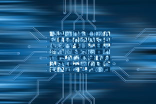 爱游戏在线娱乐官网-NBA球队市场营销数字化转型实践探索，nba营销模式