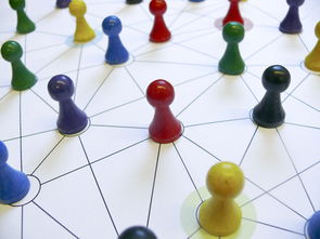 爱游戏娱乐-中国篮球教练员战术执行力提升路径分析，中国篮球教练员等级划分标准